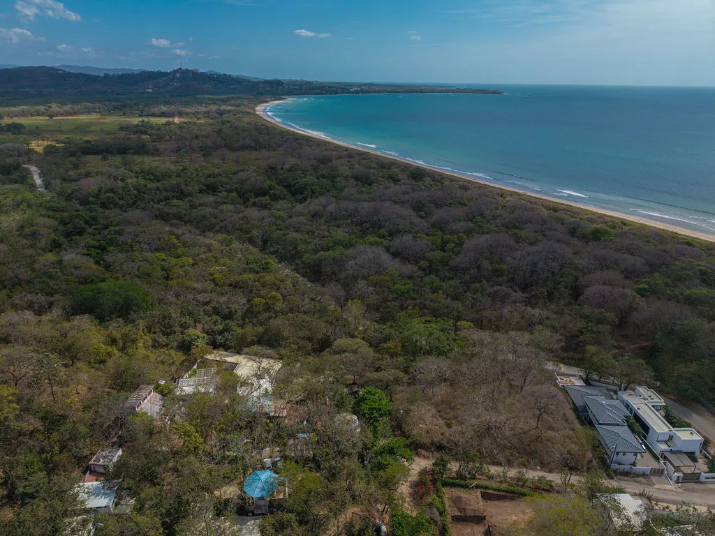 Aerial view over Playa Grande — forest canopy meeting the beach and the Pacific